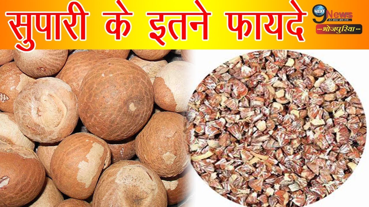 Betel Nut Cutting Unrasted 100 g (Supari Tukda Kachi)
