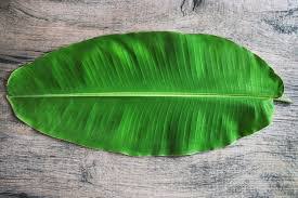 Fresh Banana Leaf 1 Pic (Kele ka patta/Vaazhai-ch- charugu/Araṭi aku)