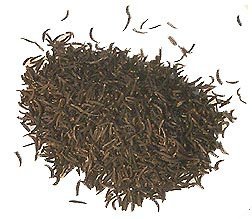 Black Cumin Seeds 50 g (Kala Jeera/Nalla Jeelakarra/Karunjeeragam)