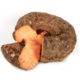 Fresh Elephant Yam 250 g (Indian Suran/Poriyal/Senai/Kanda Vepudu)