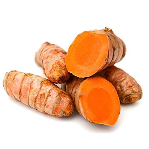 Fresh Turmeric Whole 500 g (Kacha Haldi)