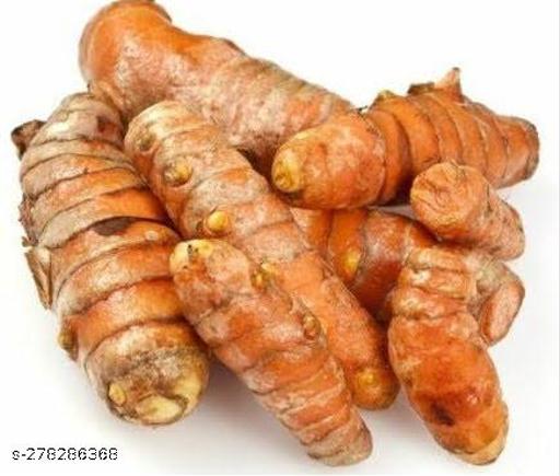 Fresh Turmeric Whole 250 g (Kacha Haldi)