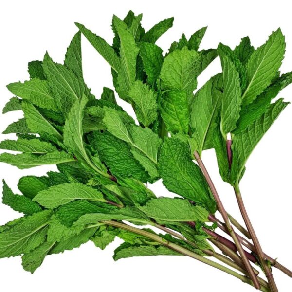 Fresh Mint Leaves 100 g